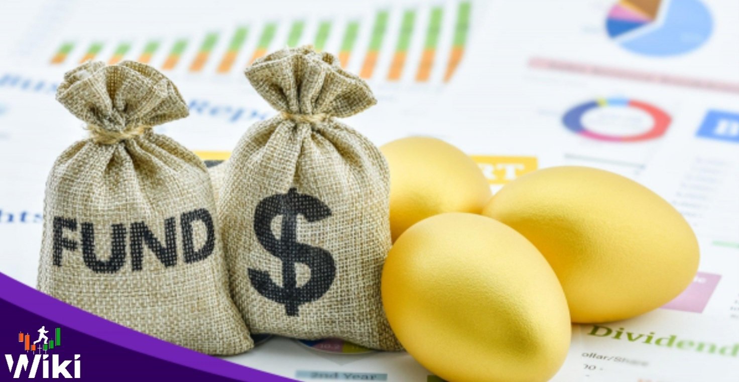 صناديق التحوط والاستثمار